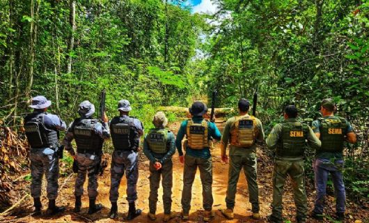 Operação integrada combate a extração ilegal de madeira na Estação Ecológica do Rio Ronuro (Crédito: Polícia Civil-MT)