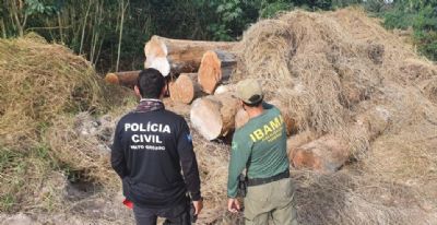 Operação Maravalha flagra madeireiras operando irregularmente e apreende 600 metros cúbicos de madeira