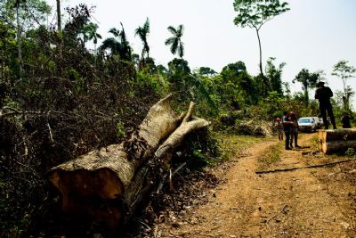 DETER confirma recorde de desmatamento em maio: 67% de aumento