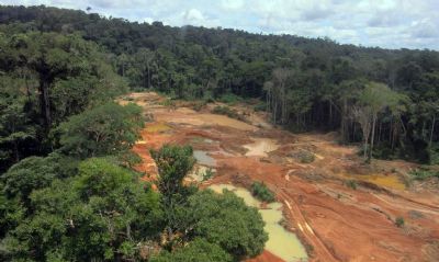 STF recebe mais uma ação contra autorização de garimpo em área da Amazônia